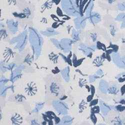 White/Blue