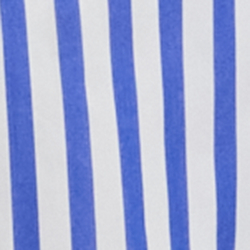 Blue/White