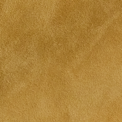 Pecan
