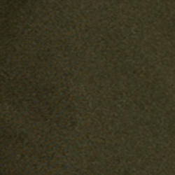 Company Olive