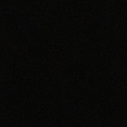 Polo Black