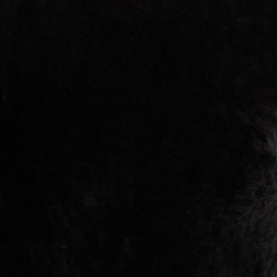Polo Black