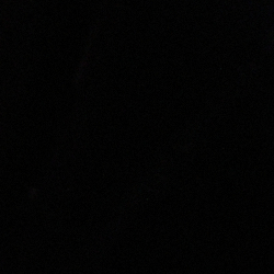 Polo Black