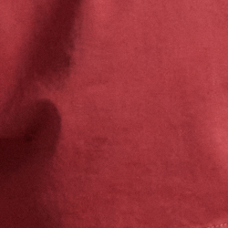 Rot