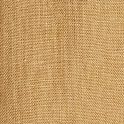 Sand Dune