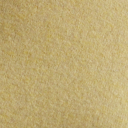 Autumn Yellow