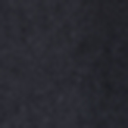 Polo Black
