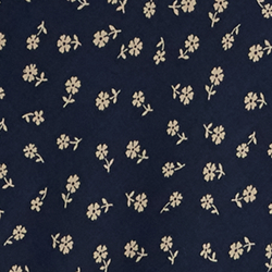 Midnight Daisy