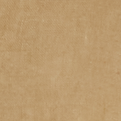 Polo Tan