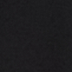 Polo Black