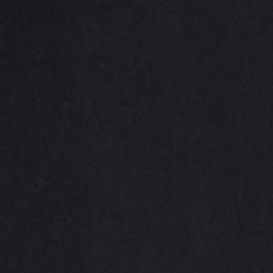 Polo Black