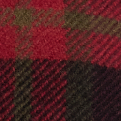 Red Multi Plaid