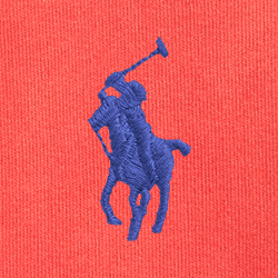 Strahlendes Hibiskus