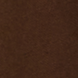 Court Brown