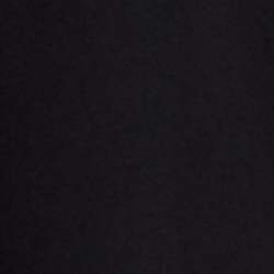 Polo Black