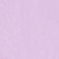 Light Mauve