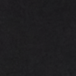 Polo Black