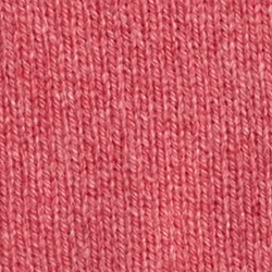 Rhubarb Melange