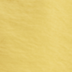 Collegiate Yellow