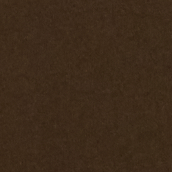 T-shirt Polo Bear jersey de coton