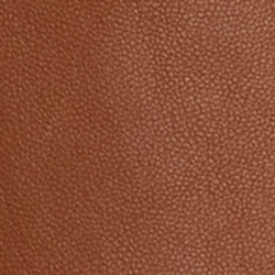 Saddle