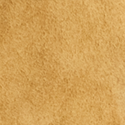 Maple