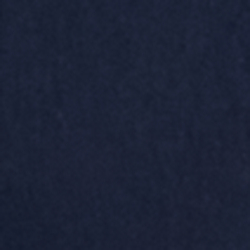 Hunter Navy