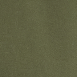Dichte Olive