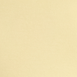 Bird Yellow