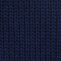 Cruise Navy
