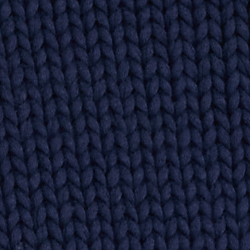 Cruise Navy