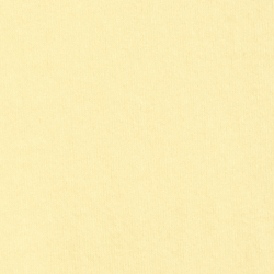 Bird Yellow