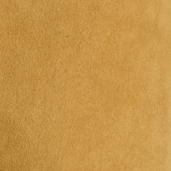 Kaki
