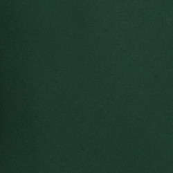 Basic Forest