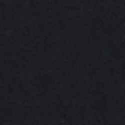 Polo Black