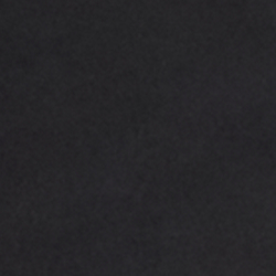 Polo Black
