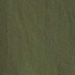 Dense Olive