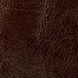 Bruin/Beige