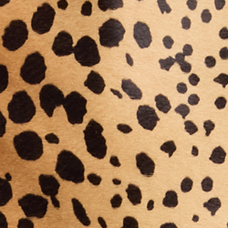 Leopard Multi