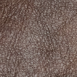 Brown/beige