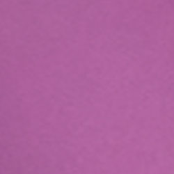 Aurora Violet
