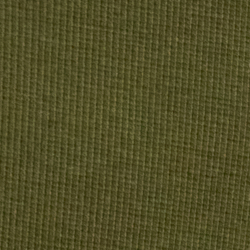 Olive Grove