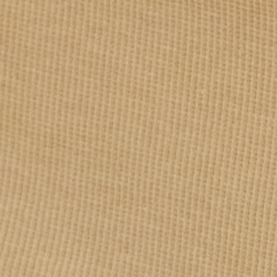 Sand Dune