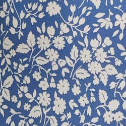 Blue/Cream