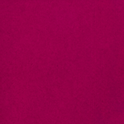 Fuchsia-Beerenrot