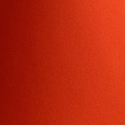 Orange Lilie