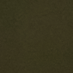Olive Grove