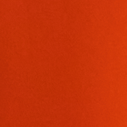 Orange Lilie