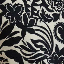 Cream/Black