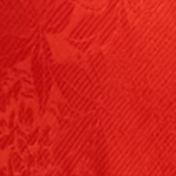 Bright Vermilion